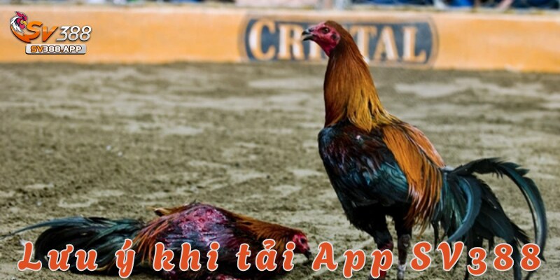 Cần nắm rõ những lưu ý trên để mọi quyền lợi của các hội viên được đảm bảo