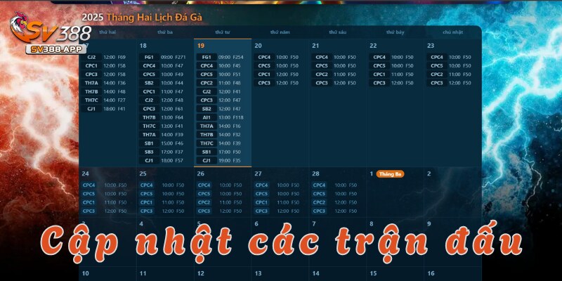 Những điểm cộng khiến nhiều người chơi tham gia đá gà thomo tại SV388