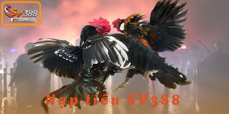 Nạp tiền SV388 là một bước quan trọng giúp người chơi tận hưởng trải nghiệm
