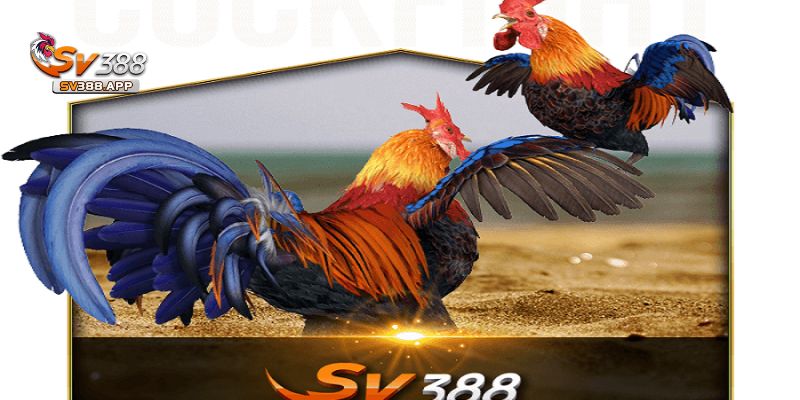 Giải pháp khi gặp lỗi không truy cập được SV388 bị chặn