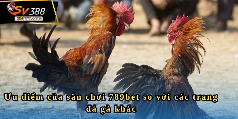 Ưu điểm của sân chơi 789bet so với các trang đá gà khác