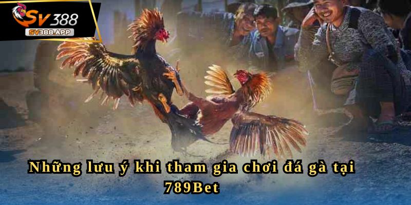 Những lưu ý khi tham gia chơi đá gà tại 789Bet