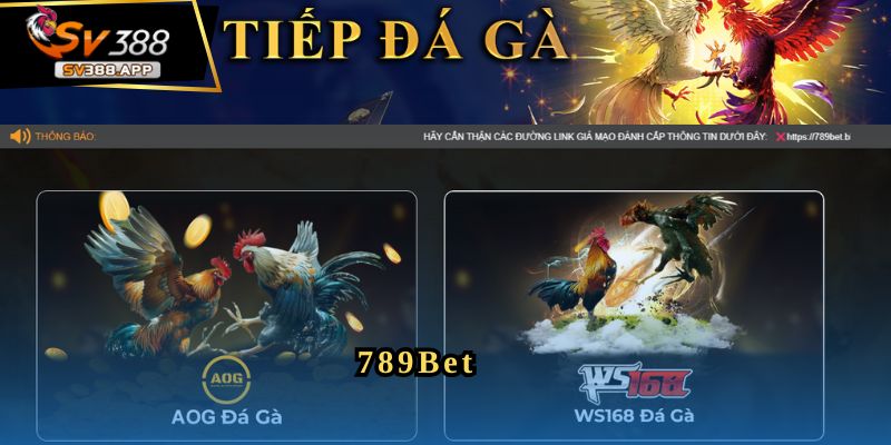 789Bet - Nền Tảng Đá Gà Uy Tín Dành Cho Người Yêu Thích