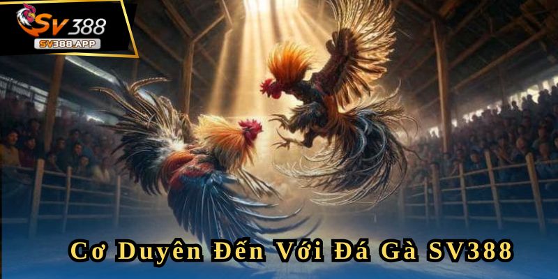 Quản lý vốn tốt khi chơi