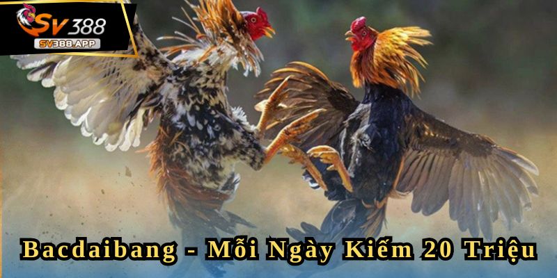 Bacdaibang - Giờ Đây Mỗi Ngày Tôi Kiếm 20 Triệu