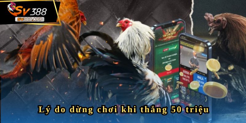 Hoangtuech - Tôi dừng chơi khi thu được hơn 50 triệu