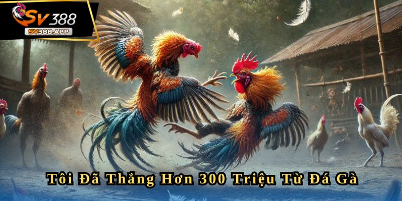 Bachcongtu - Tôi Đã Thắng Hơn 300 Triệu Trong 4 Ván Liên Tiếp