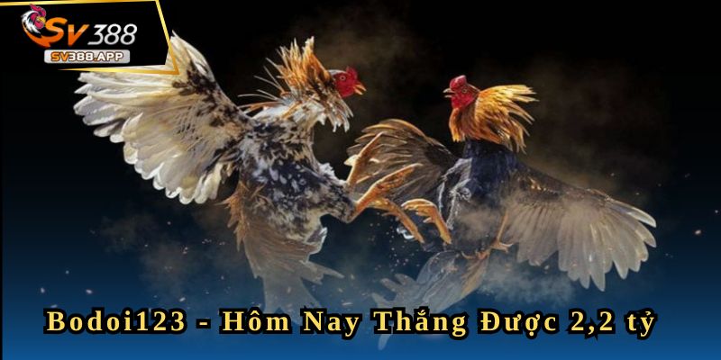 Bodoi123 - Hôm Nay Tôi Thắng Được 2,2 tỷ