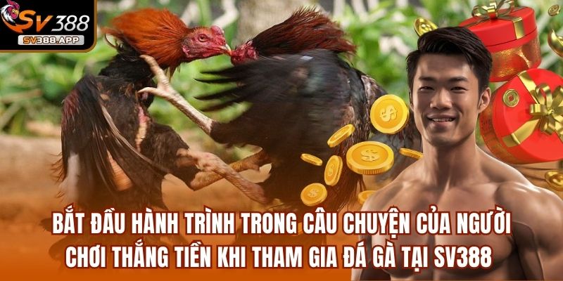 Bắt đầu hành trình trong câu chuyện của người chơi thắng tiền khi tham gia đá gà tại SV388 
