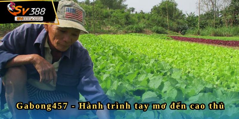 Lý do anh Tý chọn SV388