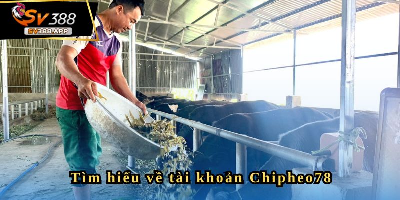 Xuất phát điểm khó khăn của tài khoản Chipheo78