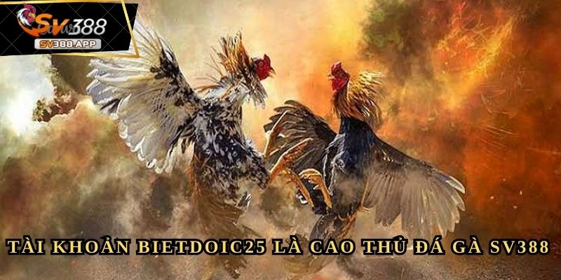BietdoiC25 - Tôi Đã Thực Sự Kiếm Được 5 Triệu Mỗi Ngày