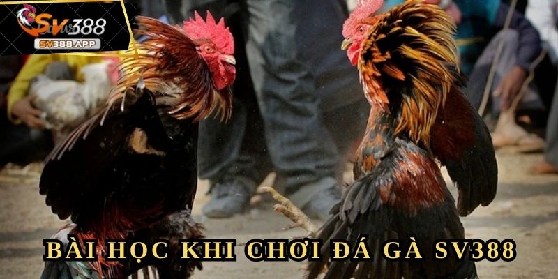 Không có thành công dễ dàng