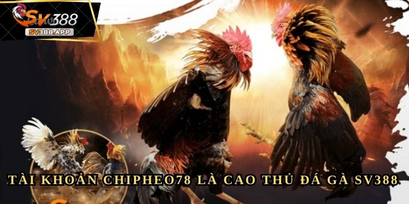 Chipheo78 - Từ Gã Tay Trắng Đến Nhà Lầu Xe Hơi