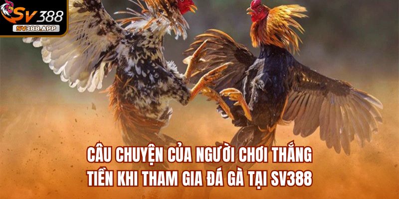 Nguyễn Đình Kính, Kiếm Tiền Tỷ Khi Tham Gia Đá Gà Tại SV388