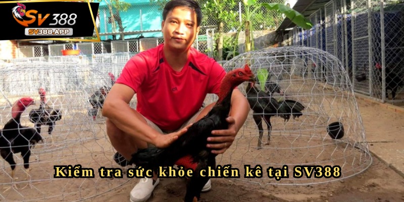 Kiểm tra sức khỏe chiến kê tại SV388