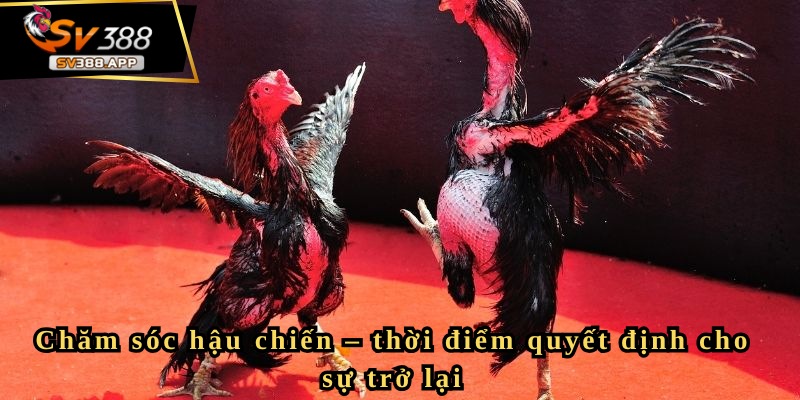 Chăm sóc hậu chiến – thời điểm quyết định cho sự trở lại