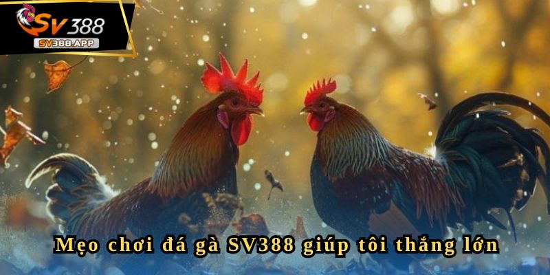 Chia sẻ mẹo chơi thắng cược