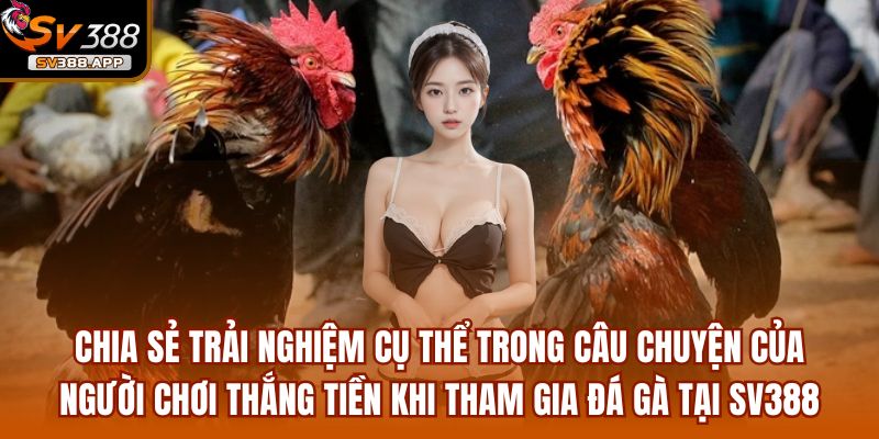 Chia sẻ trải nghiệm cụ thể trong câu chuyện của người chơi thắng tiền khi tham gia đá gà tại SV388