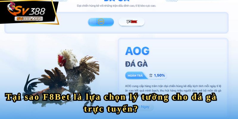 Tại sao F8Bet là lựa chọn lý tưởng cho đá gà trực tuyến?