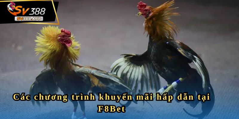 Các chương trình khuyến mãi hấp dẫn tại F8Bet