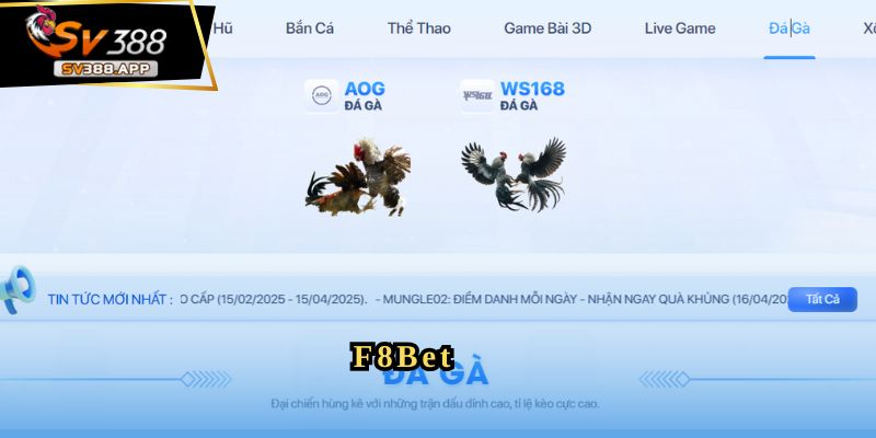 F8Bet - Nền Tảng Đá Gà Uy Tín Cho Người Yêu Thích Cá Cược