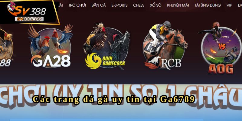 Các trang đá gà uy tín tại Ga6789