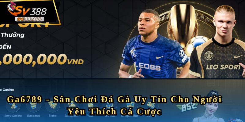 Ga6789 - Sân Chơi Đá Gà Uy Tín Cho Người Yêu Thích Cá Cược