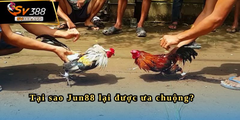 Tại sao Jun88 lại được ưa chuộng?