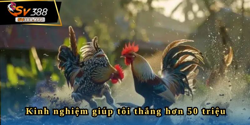 Kinh nghiệm giúp tôi thắng lớn