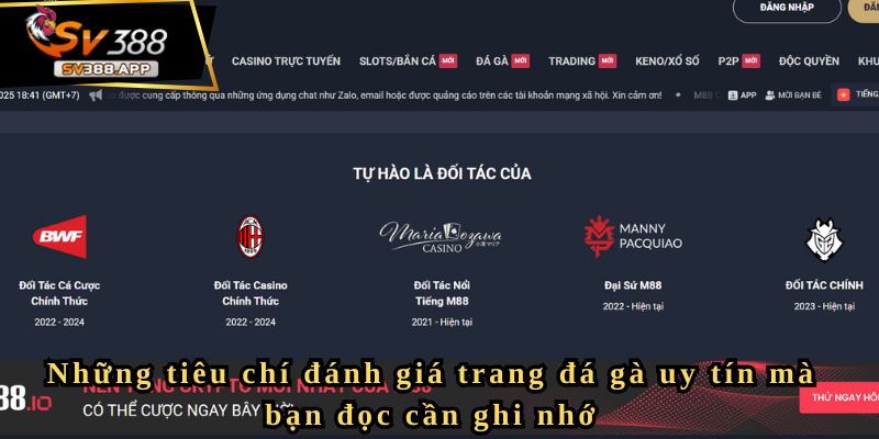 Những tiêu chí đánh giá trang đá gà uy tín mà bạn đọc cần ghi nhớ