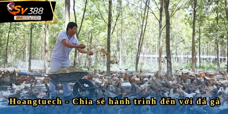 Hoangtuech chia sẻ lý do tham gia SV388