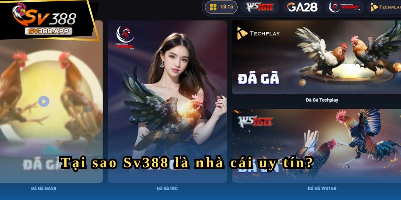 Tại sao Sv388 là nhà cái uy tín?