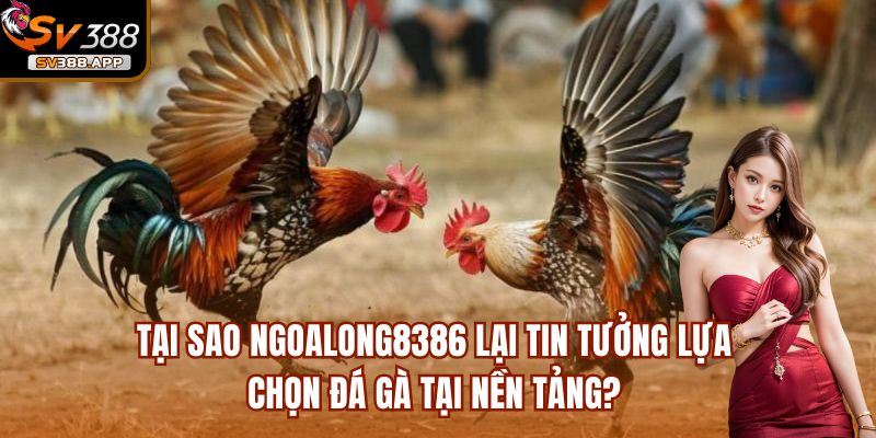 Tại sao Ngoalong8386 lại tin tưởng lựa chọn đá gà tại nền tảng