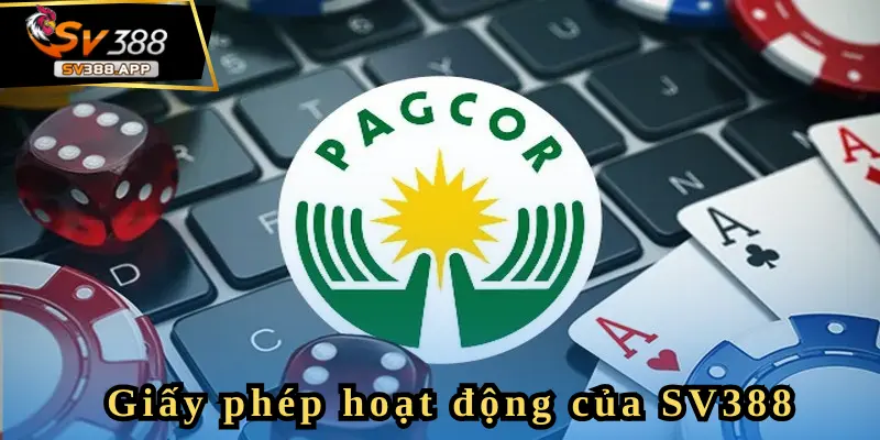 Thông tin giấy phép